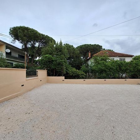 Apartments Elena & Lana Zadar Eksteriør billede
